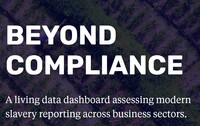 Dataset: Beyond Compliance Top Companies 2025+Image