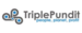 Triple Pundit+Image