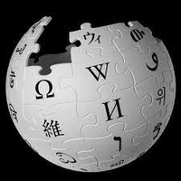 Add Wikipedia Information to Company Pages+Image